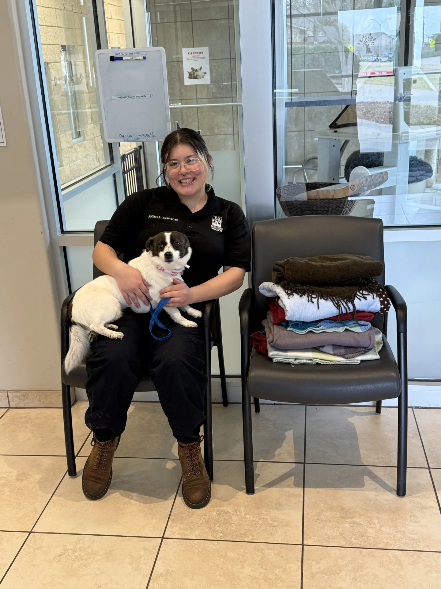 Shelter dog resting on a blanket donated by Galleria Chevrolet