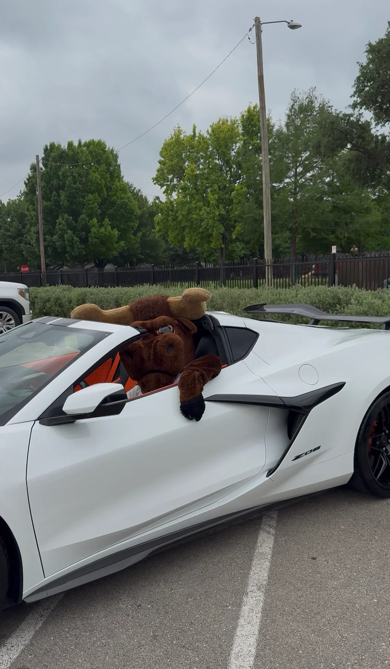 Galleria Chevrolet vehicle on display at the W.T. White High School car show